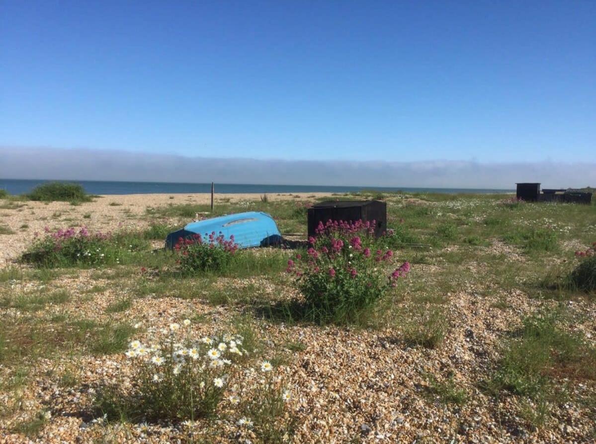 Mariner'S Cottage - On Kingsdown Beach 딜 외부 사진