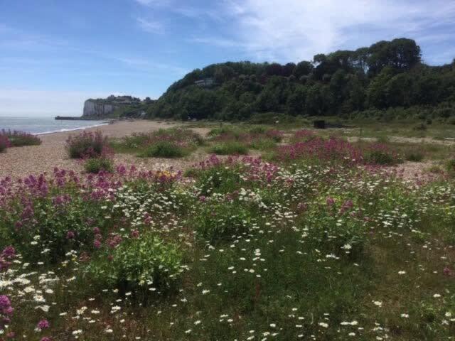 Mariner'S Cottage - On Kingsdown Beach 딜 외부 사진