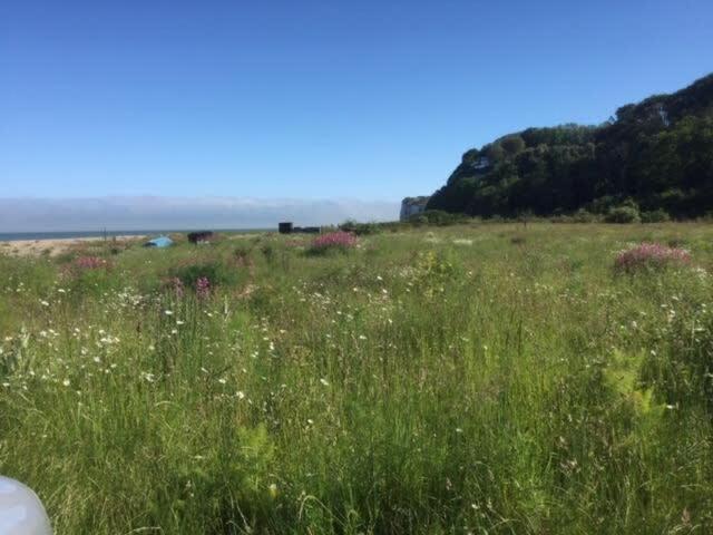 Mariner'S Cottage - On Kingsdown Beach 딜 외부 사진
