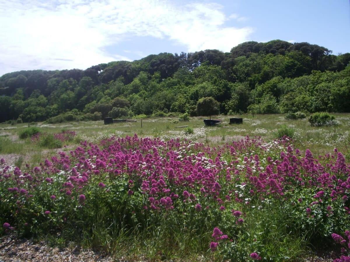 Mariner'S Cottage - On Kingsdown Beach 딜 외부 사진