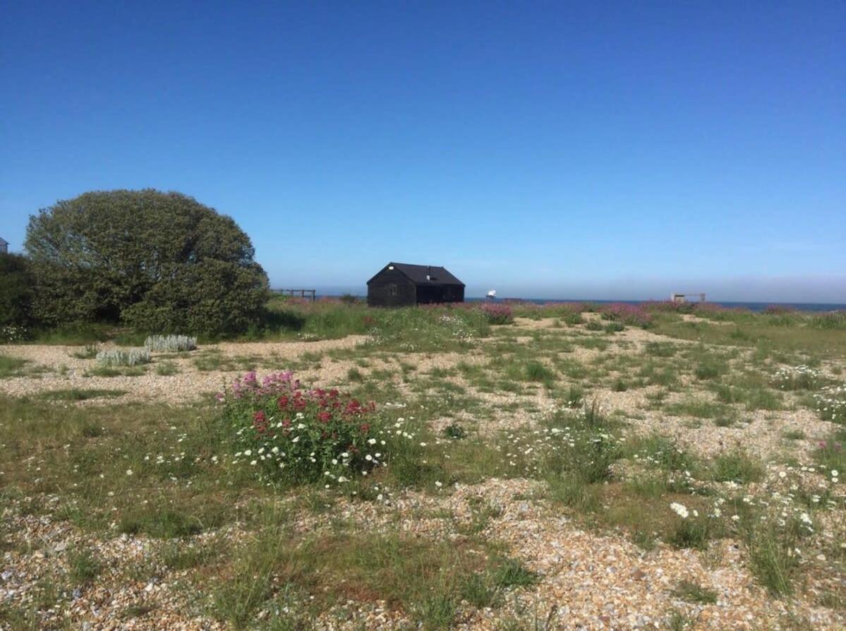 Mariner'S Cottage - On Kingsdown Beach 딜 외부 사진